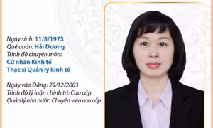 Phó Bí thư Thường trực Tỉnh ủy, Chủ tịch HĐND tỉnh Quảng Ninh Trịnh Thị Minh Thanh