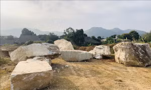 Sẽ xử lý dứt điểm việc khai thác đá trái phép tại Suối Giàng