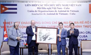Thủ tướng Cuba Manuel Marrero Cruz gặp gỡ Hội Hữu nghị Việt Nam - Cuba