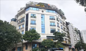 'Bánh vẽ' sâm Ngọc Linh: Bài 2 - Những nghi vấn từ dự án