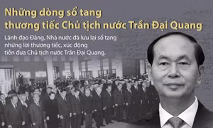 Những dòng sổ tang viếng Chủ tịch nước Trần Đại Quang của lãnh đạo Đảng, Nhà nước