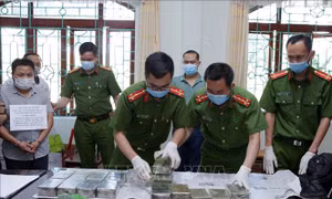 Phân công soạn thảo văn bản quy định chi tiết thi hành Luật Phòng, chống ma túy