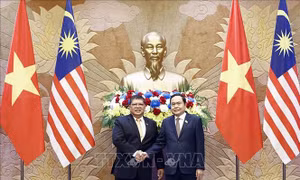 Chuyên gia đánh giá Việt Nam - Malaysia còn nhiều dư địa hợp tác về thương mại và du lịch  