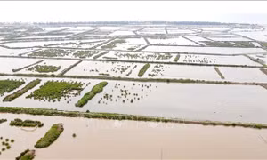 Đẩy mạnh giải phóng mặt bằng để phát triển Khu kinh tế ven biển tỉnh Thái Bình
