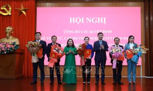 Các cơ quan sau sắp xếp bắt tay ngay vào công việc, không để chậm trễ