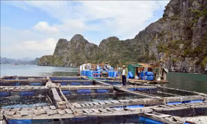 Tuyên truyền sâu rộng để đồng bào vùng ảnh hưởng lũ lụt tiếp cận vốn vay