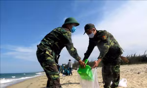 Hoàn tất thu gom chất thải lạ màu đen dạt vào bờ biển Quảng Ngãi