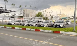 Cần Thơ giãn thời gian cấp giấy phép lái xe do chưa đấu thầu được mực in