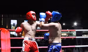 Bế mạc Giải vô địch kickboxing khu vực Đồng bằng sông Cửu Long