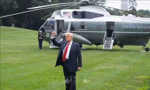 Tổng thống Trump công bố thời điểm mở đấu trường UFC ở Nhà Trắng