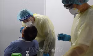 Singapore có số ca mắc COVID-19 trong ngày cao nhất từ đầu dịch