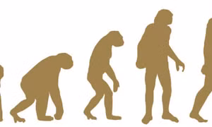 Nghiên cứu mới giúp mở rộng thuyết tiến hóa của Darwin