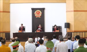 Phòng, chống oan, sai, chống bỏ lọt tội phạm và người phạm tội
