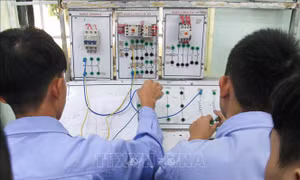 Tăng cường kiểm tra, giám sát hoạt động đưa sinh viên, học sinh đi thực tập tại doanh nghiệp