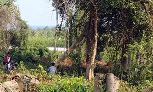 Kỷ luật ba cán bộ liên quan việc phá rừng tại Khu Bảo tồn Thiên nhiên Văn hóa Đồng Nai