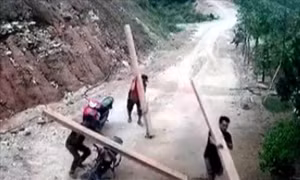 Quảng Ngãi yêu cầu kiểm tra, xử lý tình trạng khai thác gỗ trái phép tại huyện Ba Tơ