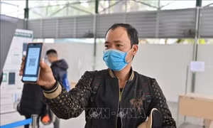 Người dân gặp khó khi khai báo y tế qua chốt kiểm soát do lỗi hệ thống phần mềm