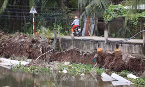 Đồng Tháp có hơn 40 điểm sạt lở bờ sông, kênh rạch nghiêm trọng