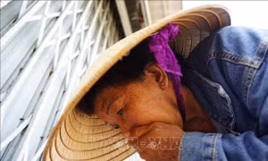 Bác sĩ hướng dẫn phòng, chống nắng nóng và thay đổi nhiệt độ môi trường đột ngột