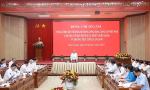 Nghiên cứu cơ chế, chính sách đặc biệt phát triển Đặc khu Phú Quốc