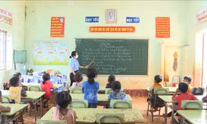 Gia Lai triển khai mô hình học bán trú tại các trường mầm non, tiểu học từ ngày 11/9