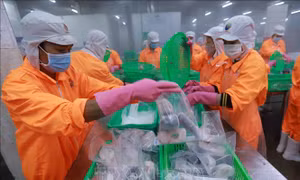 Báo Đức ca ngợi đường lối và chính sách hiệu quả của Việt Nam