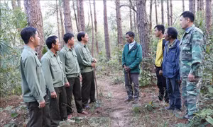 Gia Lai huy động mọi nguồn lực, tháo gỡ khó khăn để bảo vệ rừng