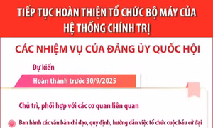 Tiếp tục hoàn thiện tổ chức bộ máy của hệ thống chính trị: Các nhiệm vụ của Đảng ủy Quốc hội