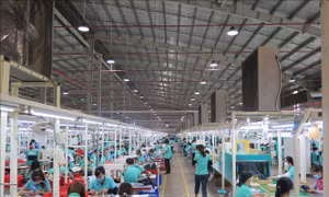 EuroCham: Sức hút dài hạn của Việt Nam vẫn được bảo toàn