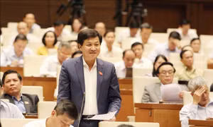 Tổng Thanh tra Chính phủ: Sửa Luật để tránh 'một năm mấy đoàn tới kiểm tra doanh nghiệp'