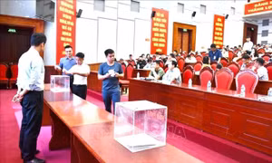 Huyện ngoại thành Hà Nội thu hơn 1.000 tỷ đồng từ đấu giá quyền sử dụng đất