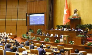 Nhiệm vụ, quyền hạn và cơ cấu tổ chức của Hội đồng Dân tộc, các Ủy ban của Quốc hội