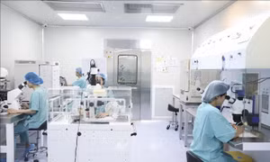 Gieo mầm yêu thương cho những cặp vợ chồng hiếm muộn