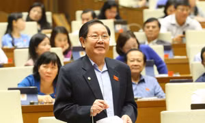 Cương quyết xử lý nghiêm những công chức, viên chức nhũng nhiễu