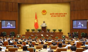92 câu hỏi của đại biểu Quốc hội trong 2 ngày đầu tiên chất vấn và trả lời chất vấn 