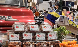 Ngoại giao kinh tế: Thúc đẩy hỗ trợ doanh nghiệp Việt Nam hiện diện tại Thái Lan