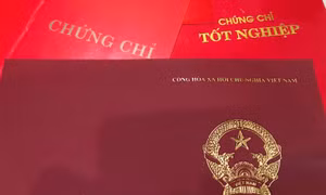 Sử dụng chứng chỉ tiếng Anh không hợp pháp, Phó Bí thư Thường trực Thành ủy Lai Châu bị cách chức