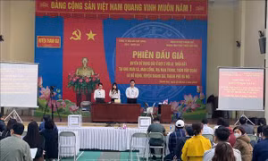 Quý I/2025: Huyện Thanh Oai ước thu khoảng 1.384 tỷ đồng từ đấu giá đất