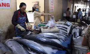 Chợ cá Cửa Lò đắt hàng trong mùa du lịch