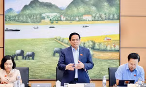 Sửa Luật Đất đai phải bám sát thực tiễn, lấy thực tiễn làm thước đo