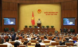 Sai phạm trong tuyển dụng, bổ nhiệm và vấn đề đào tạo công chức được đặc biệt quan tâm