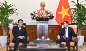 Bộ trưởng Ngoại giao Bùi Thanh Sơn tiếp nguyên Đại sứ đặc biệt Nhật Bản - Việt Nam