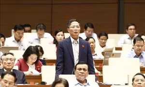Đại biểu Quốc hội chất vấn Bộ trưởng Công Thương Trần Tuấn Anh nhiều vấn đề 'nóng'