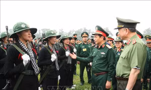 Hai Bộ trưởng Quốc phòng và Công an chủ trì kiểm tra hợp luyện diễu binh, diễu hành kỷ niệm Chiến thắng Điện Biên Phủ 