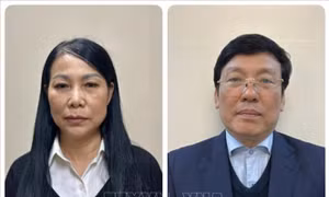Tạm đình chỉ nhiệm vụ đại biểu Quốc hội với bà Hoàng Thị Thúy Lan