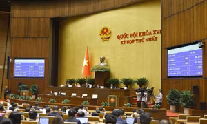 Kỳ họp thứ Nhất: Quốc hội hành động và hiệu quả 
