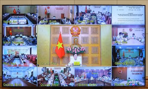 Đơn giản hóa quy trình, thủ tục đấu thầu lựa chọn nhà đầu tư dự án có sử dụng đất
