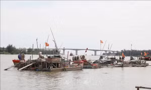 Tiềm ẩn nguy cơ tai nạn từ bè mảng cản trở giao thông tại cửa biển Lạch Vạn