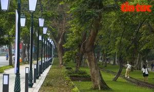 Để người dân tiếp cận với không gian xanh của phố