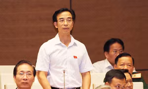 Lạm dụng rượu, bia do việc tiếp cận quá dễ dàng